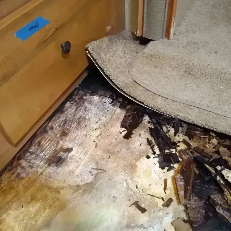 Wood Floor Water Damage in Valencia West, AZ